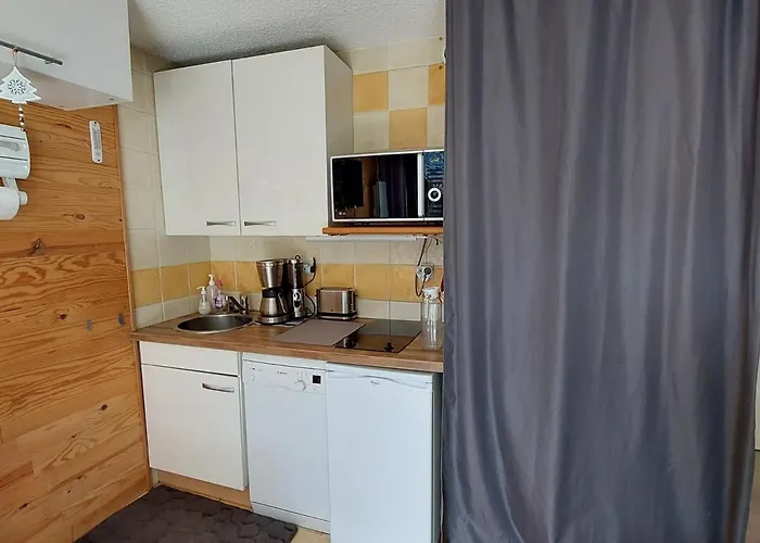 Moderne, Centre Station, Terrasse Sud, Animaux Admis - Fr-1-516-194 Ле дез Альп